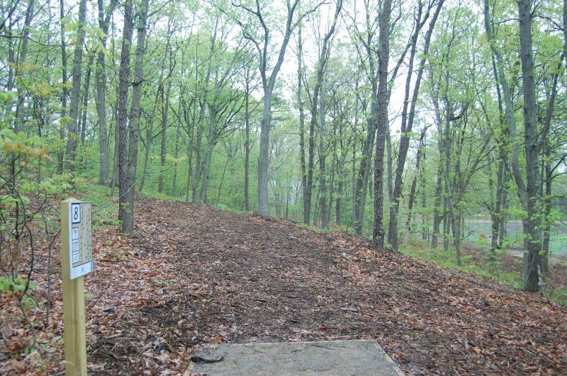 Peabody Disc Golf at Scouting Woods Professional Disc Golf Association